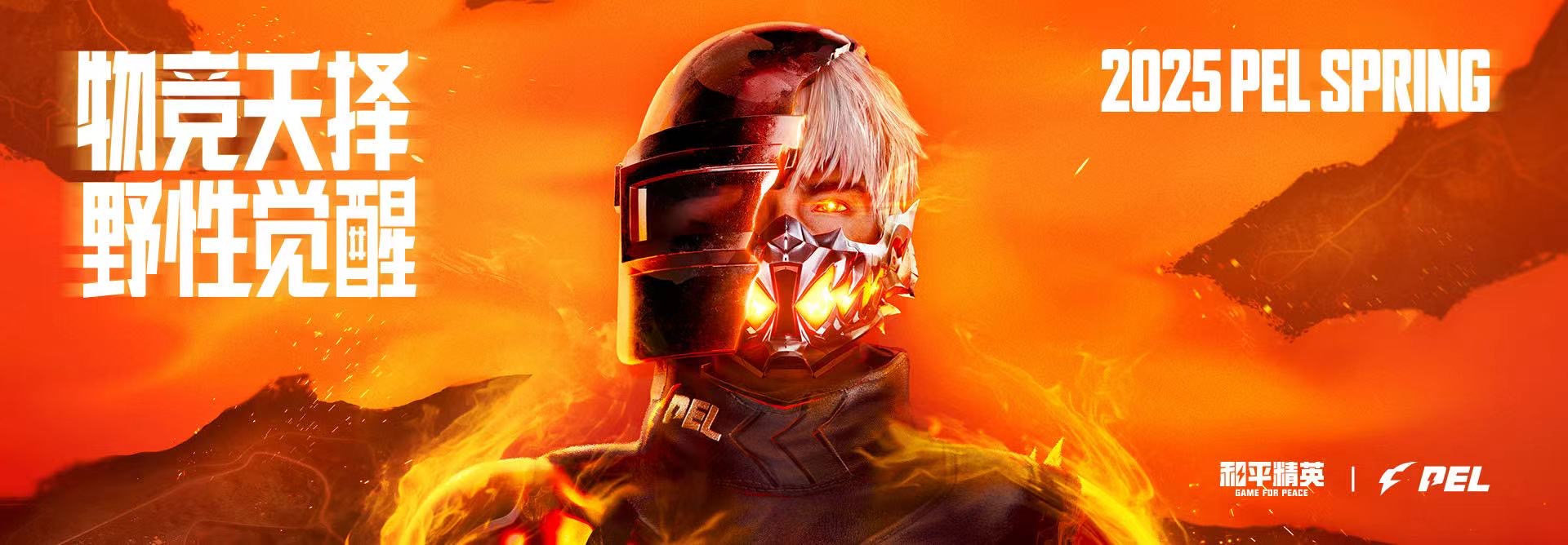 和平精英《紫火》外挂独家稳定大号